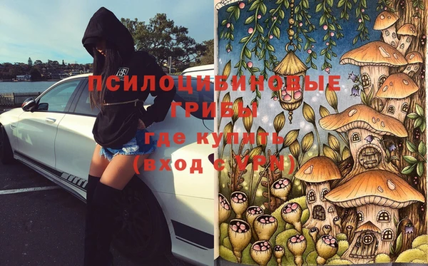 МДПВ Михайловск